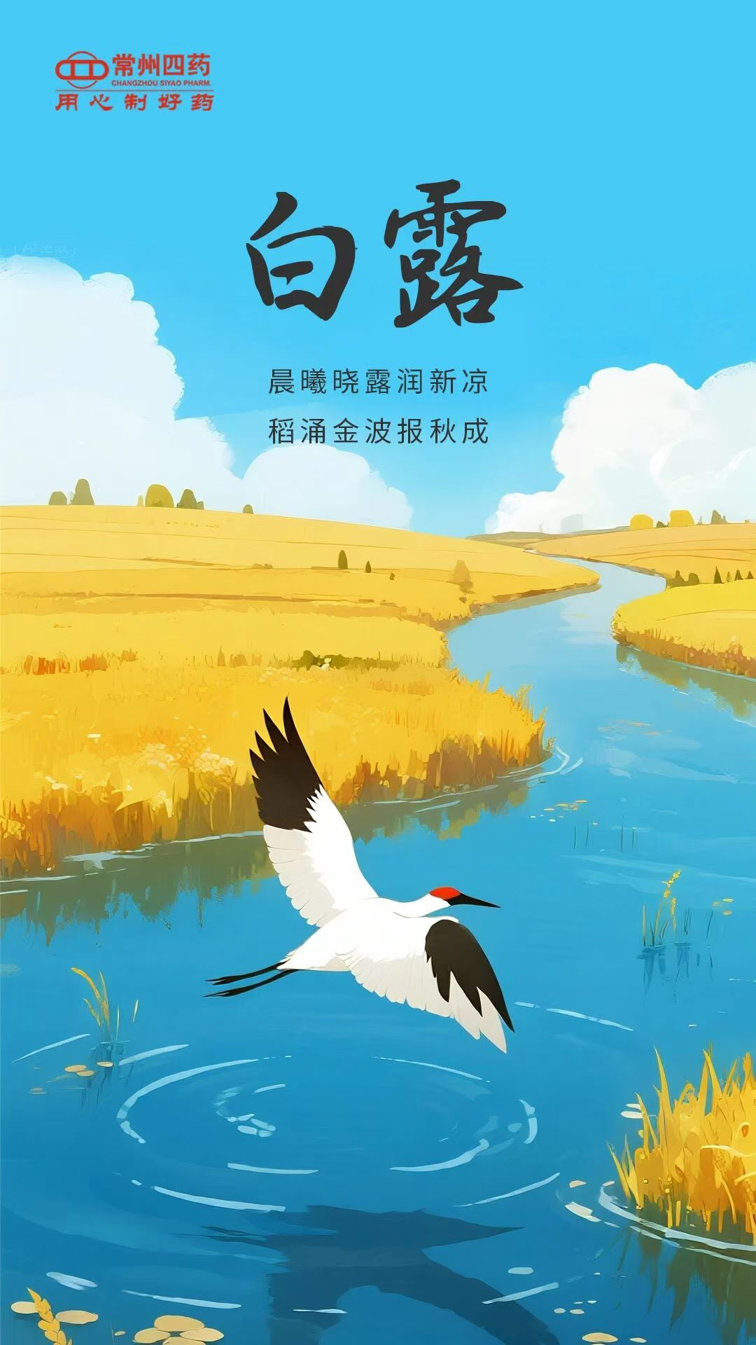 2025.09.07 白露 (1).jpg