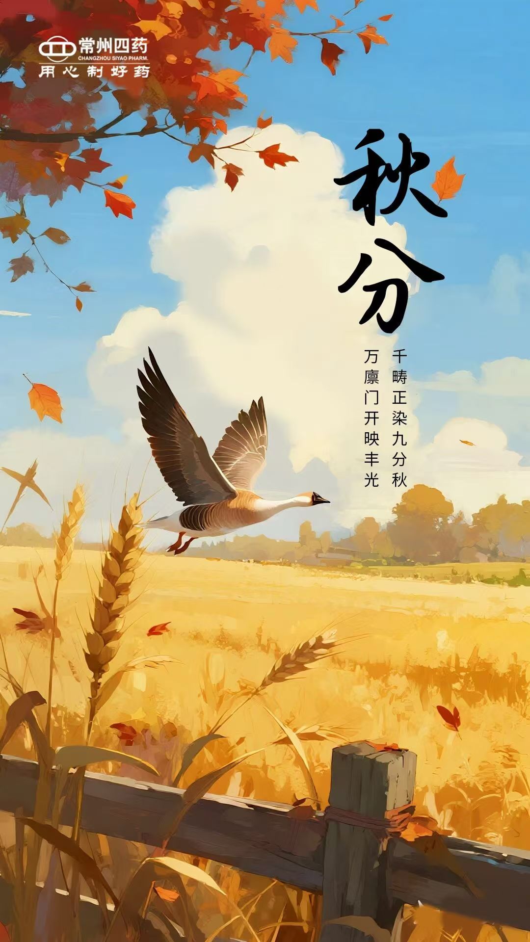 2025.09.23 秋分 1-3.jpg